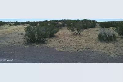 Tbd St. John's, Saint Johns, AZ 85936 - Photo 17