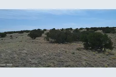 Tbd St. John's, Saint Johns, AZ 85936 - Photo 11