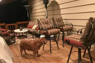 3163 Viking Trail, Pinetop, AZ 85935 - Photo 25