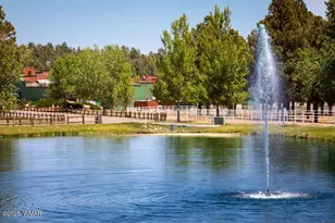 2407 Quarter Horse Trl, Overgaard, AZ 85933 - Photo 37