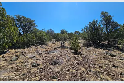 105 Co Rd Road, Vernon, AZ 85940 - Photo 15