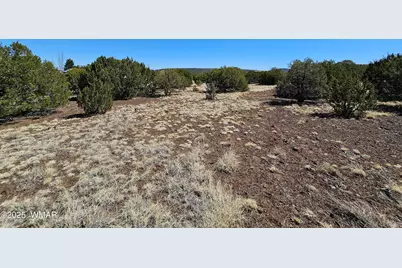 105 Co Rd Road, Vernon, AZ 85940 - Photo 11