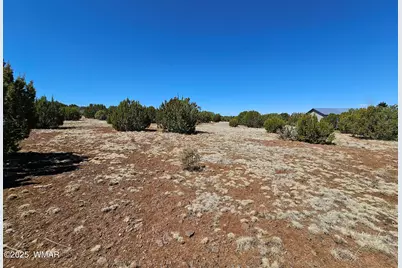 105 Co Rd Road, Vernon, AZ 85940 - Photo 3