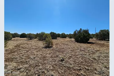 105 Co Rd Road, Vernon, AZ 85940 - Photo 5