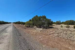 105 Co Rd Rd, Vernon, AZ 85940 - Photo 1