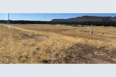 6 County Road 2331, Alpine, AZ 85920 - Photo 11