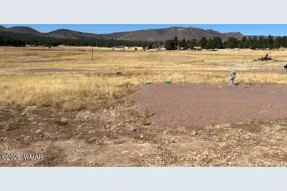 6 County Road 2331, Alpine, AZ 85920 - Photo 13