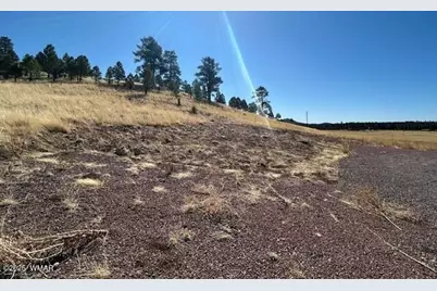 6 County Road 2331, Alpine, AZ 85920 - Photo 5