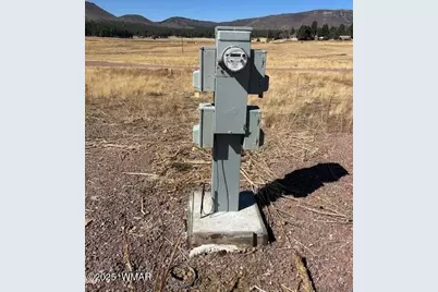 6 County Road 2331, Alpine, AZ 85920 - Photo 7