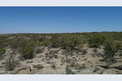 8581 Justin Lane, Snowflake, AZ 85937 - Photo 19