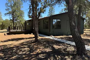 3050 Chevelon Rd, Overgaard, AZ 85933 - Photo 31