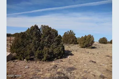 70 County Road 5054, Concho, AZ 85924 - Photo 7