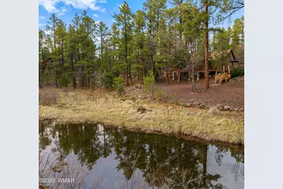 571 W Pine Shadow Drive, Lakeside, AZ 85929 - Photo 3