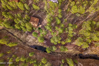 571 W Pine Shadow Drive, Lakeside, AZ 85929 - Photo 45