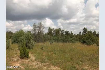 2697 Lost Way, Overgaard, AZ 85933 - Photo 7