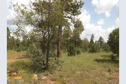 2697 Lost Way, Overgaard, AZ 85933 - Photo 3