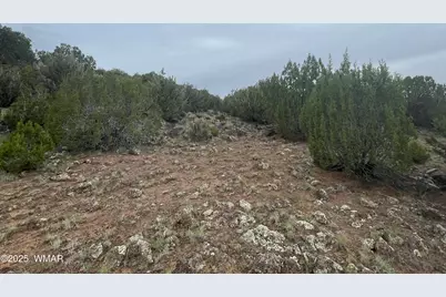 83 Charleen Drive, Concho, AZ 85924 - Photo 15