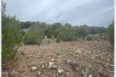 83 Charleen Drive, Concho, AZ 85924 - Photo 11