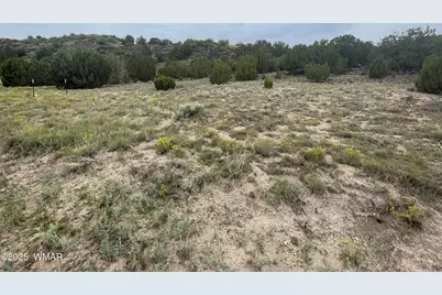 83 Charleen Drive, Concho, AZ 85924 - Photo 3