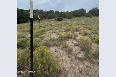 83 Charleen Drive, Concho, AZ 85924 - Photo 5