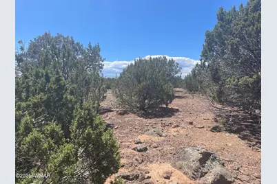 148 Alaska Avenue, Concho, AZ 85924 - Photo 7