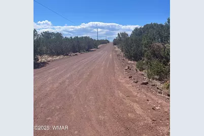 148 Alaska Avenue, Concho, AZ 85924 - Photo 11