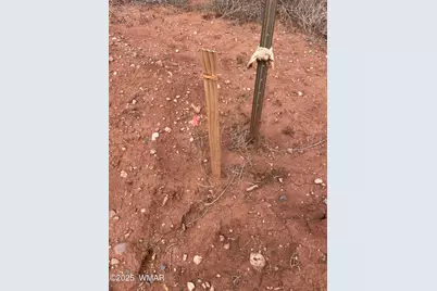 4353 Colt Road, Snowflake, AZ 85937 - Photo 9