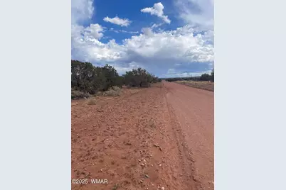 4353 Colt Road, Snowflake, AZ 85937 - Photo 11