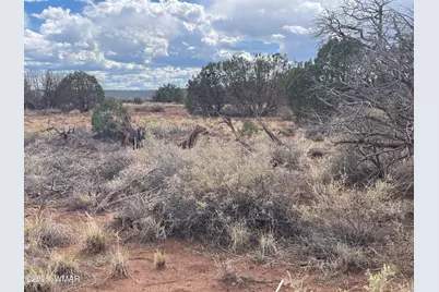 4353 Colt Road, Snowflake, AZ 85937 - Photo 5
