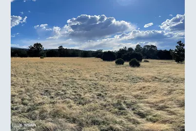 Tbd Sky Crest Drive, Eagar, AZ 85925 - Photo 1