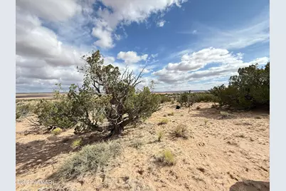 6625 North, Saint Johns, AZ 85936 - Photo 13