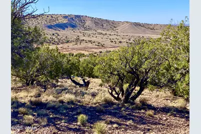 Tbd Co Rd 5062 Lot 1 3.53 Acres, Concho, AZ 85924 - Photo 29