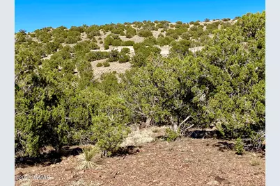 Tbd Co Rd 5062 Lot 1 3.53 Acres, Concho, AZ 85924 - Photo 21