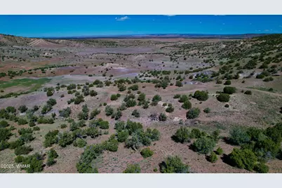 Tbd Co Rd 5062 Lot 1 3.53 Acres, Concho, AZ 85924 - Photo 9