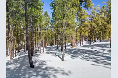 9 N1064, Greer, AZ 85927 - Photo 15