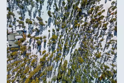 9 N1064, Greer, AZ 85927 - Photo 19