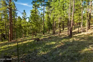 9 N1064, Greer, AZ 85927 - Photo 1