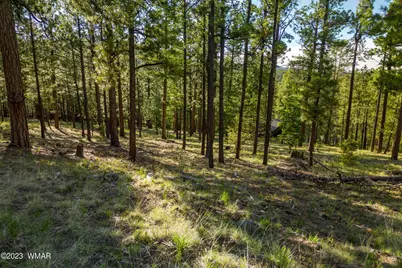 9 N1064, Greer, AZ 85927 - Photo 3