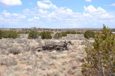 Lot 020G E 24th N Street, Snowflake, AZ 85937 - Photo 1