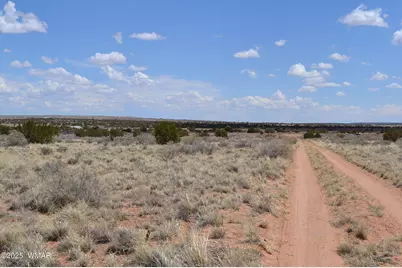 Lot 020G E 24th N Street, Snowflake, AZ 85937 - Photo 5