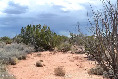 Lot 020B E 24th N Street, Snowflake, AZ 85937 - Photo 3