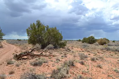 Lot 020B E 24th N Street, Snowflake, AZ 85937 - Photo 1
