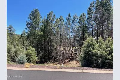 2611 Marshalls Run, Show Low, AZ 85901 - Photo 1