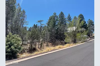 2611 Marshalls Run, Show Low, AZ 85901 - Photo 5