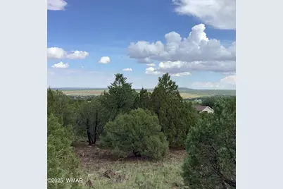 37 Cr 3168, Vernon, AZ 85940 - Photo 7