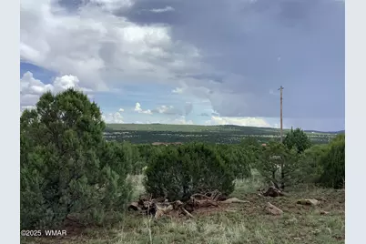 37 Cr 3168, Vernon, AZ 85940 - Photo 13