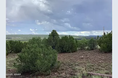 37 Cr 3168, Vernon, AZ 85940 - Photo 5