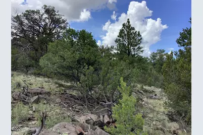 37 Cr 3168, Vernon, AZ 85940 - Photo 9