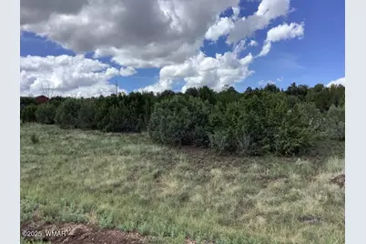 37 Cr 3168, Vernon, AZ 85940 - Photo 3