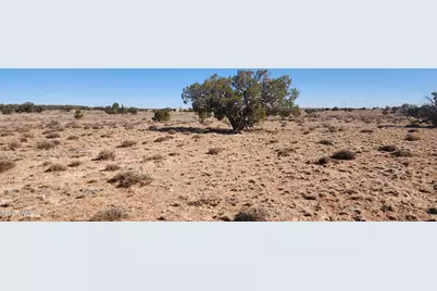 5137 Encanto Road, Snowflake, AZ 85937 - Photo 15